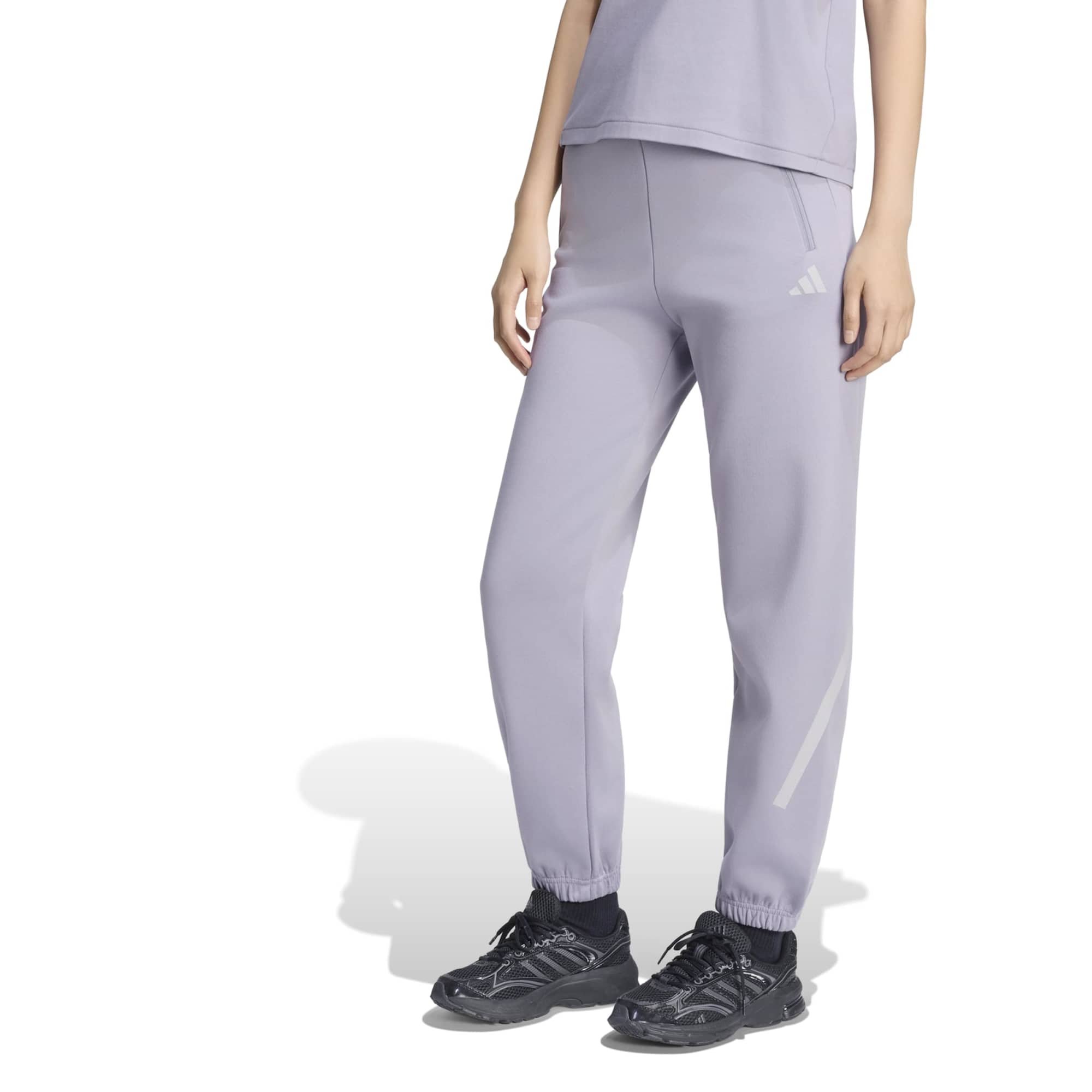 Женские спортивные штаны adidas W Z.n.e. Pt