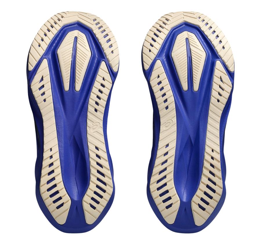 Asics Novablast 5 Erkek Spor Ayakkabı Asics Novablast 5 Erkek Spor Ayakkabı