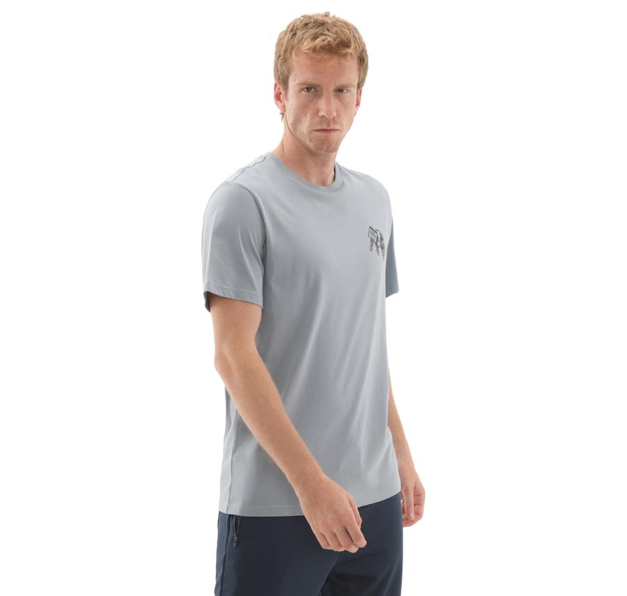 Converse Skeleton Party T-Shırt T-Shirt Gri Converse Skeleton Party T-Shırt T-Shirt Gri