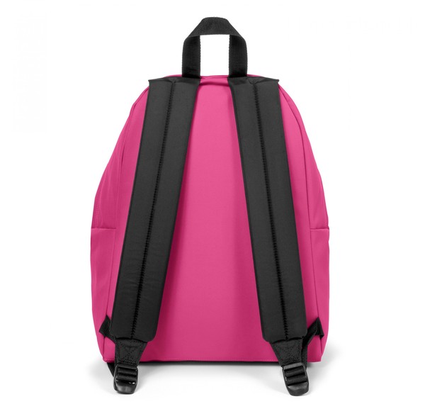 Eastpak Padded Pak'r Sırt Çantası Pembe Eastpak Padded Pak'r Sırt Çantası Pembe