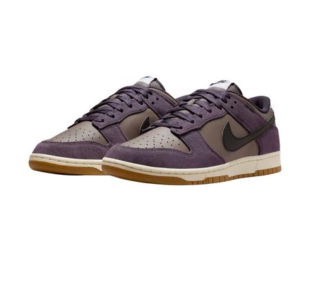 Nike Dunk Low Retro Se Erkek Spor Ayakkabı Mor
