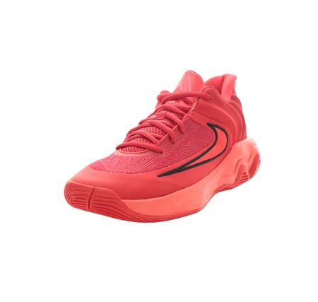 Nike Gıannıs Immortalıty 4 Erkek Spor Ayakkabı Kırmızı