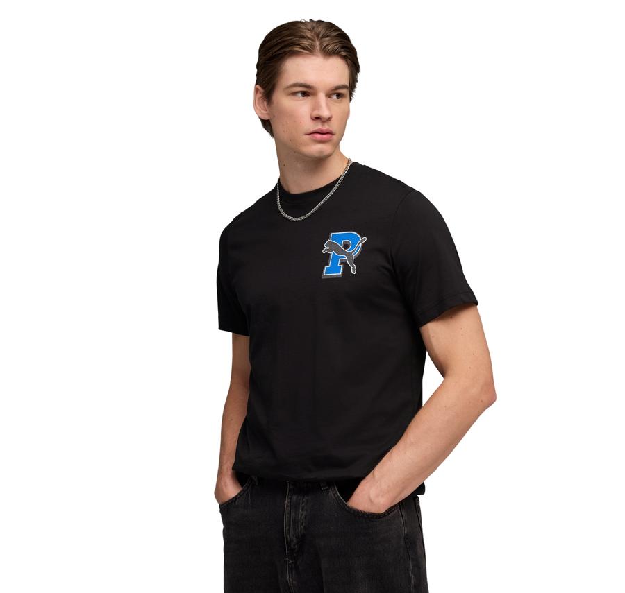 Puma Graphıc Tee Erkek T-Shirt Puma Graphıc Tee Erkek T-Shirt