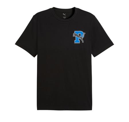 Puma Graphıc Tee Erkek T-Shirt