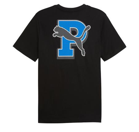 Puma Graphıc Tee Erkek T-Shirt