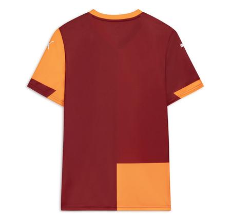 Puma Gs Galatasaray 25-26  İç Saha Erkek Turuncu