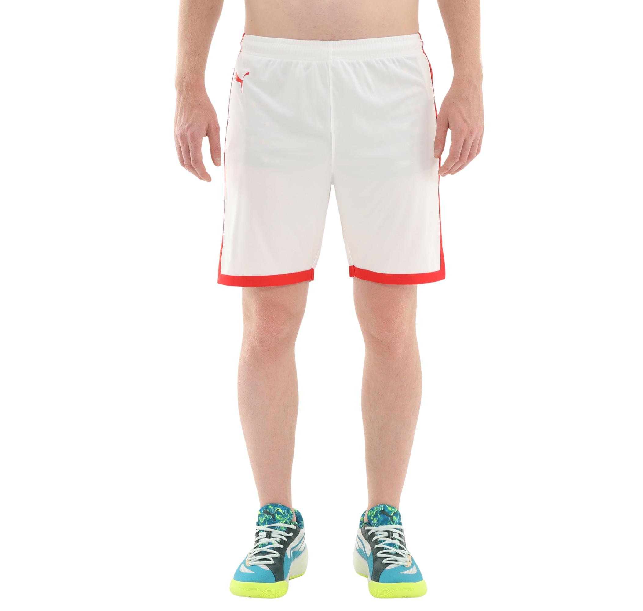 Мужские шорты Puma Turkey Game Short Kapri