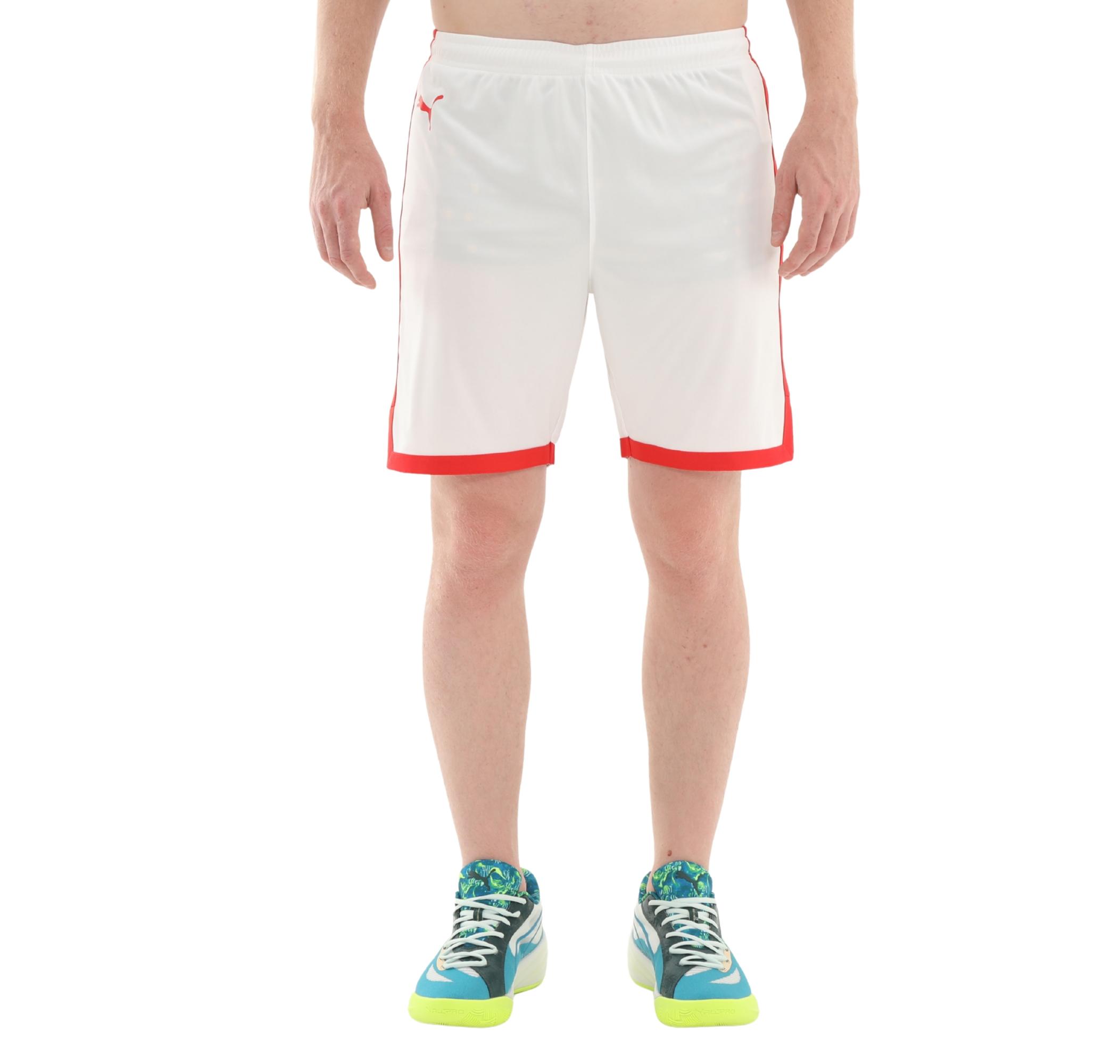 Мужские шорты Puma Turkey Game Short Kapri