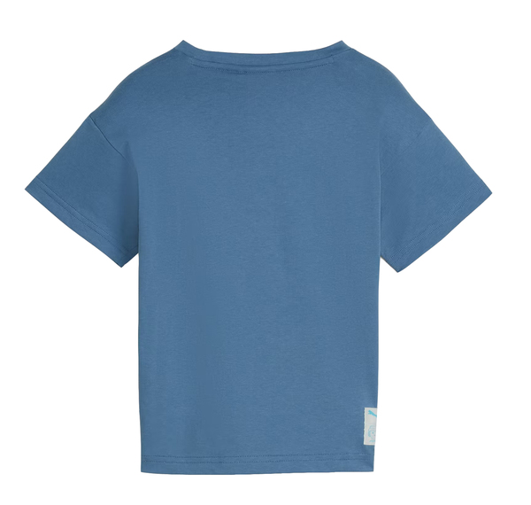 Puma X Playmobıl Graphic Tee Çocuk T-Shirt Mavi Puma X Playmobıl Graphic Tee Çocuk T-Shirt Mavi