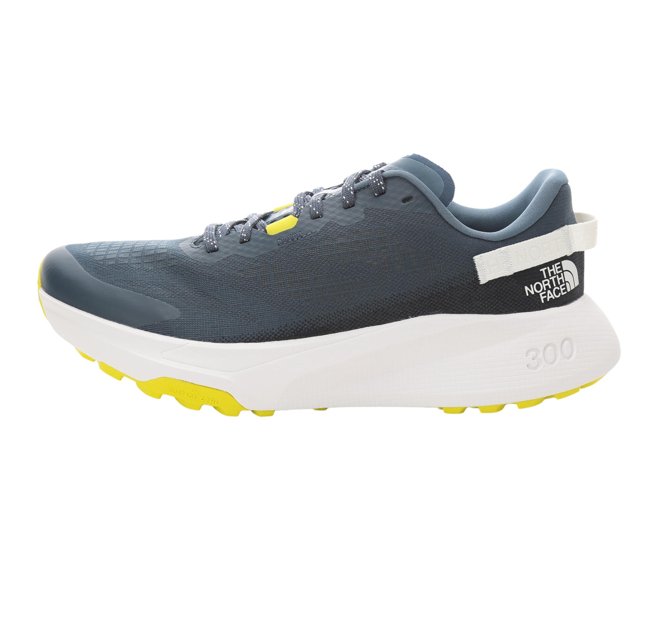 Мужские кроссовки The North Face M Altamesa 300
