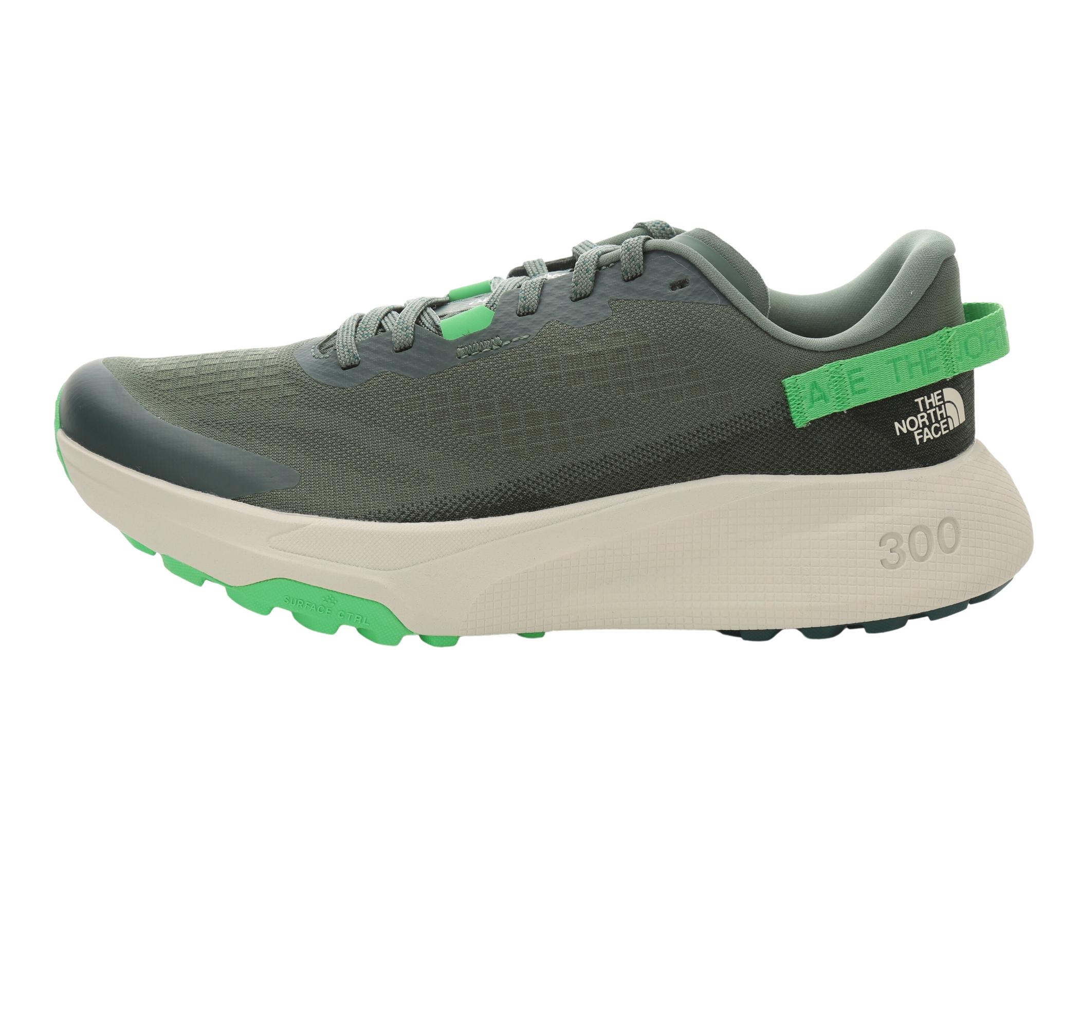 Мужские кроссовки The North Face M Altamesa 300