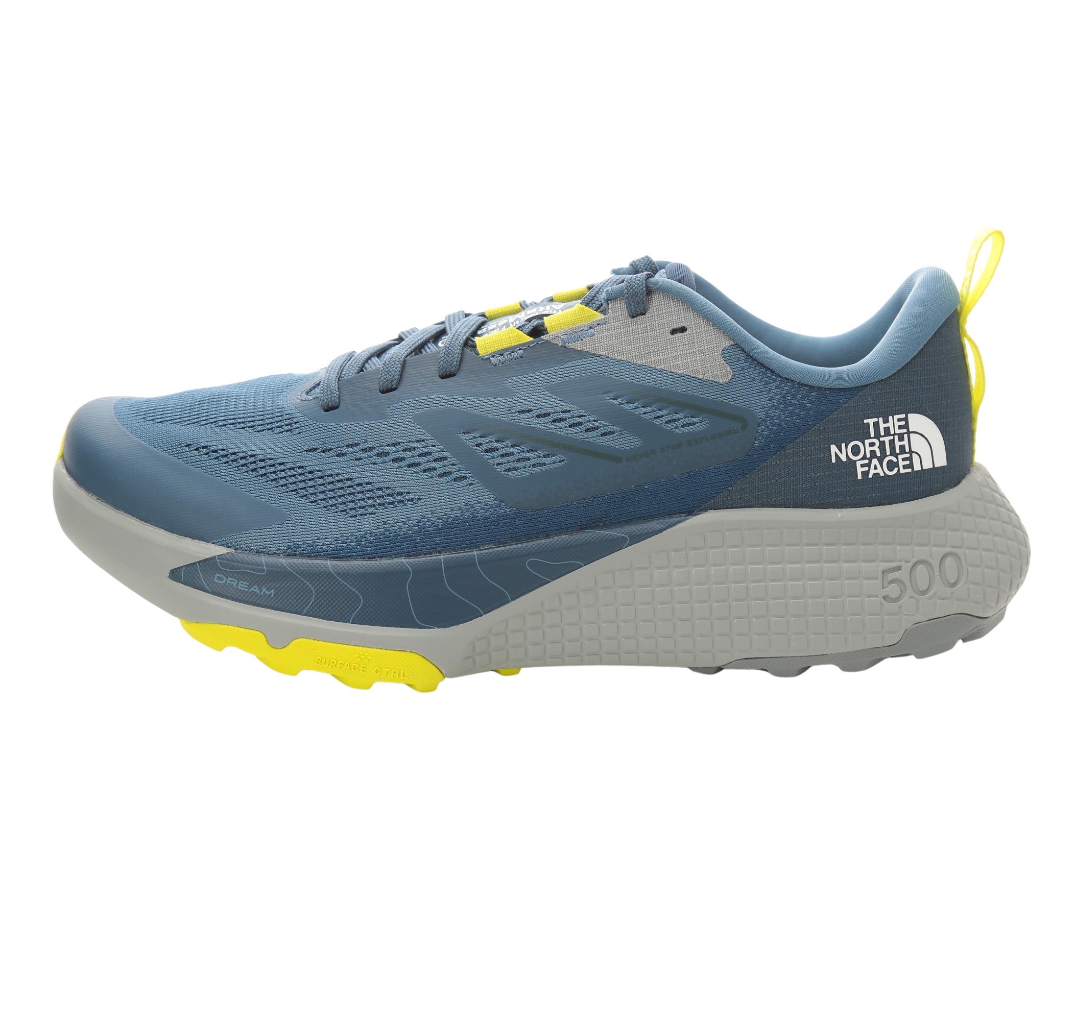 Мужские кроссовки The North Face M Altamesa 500