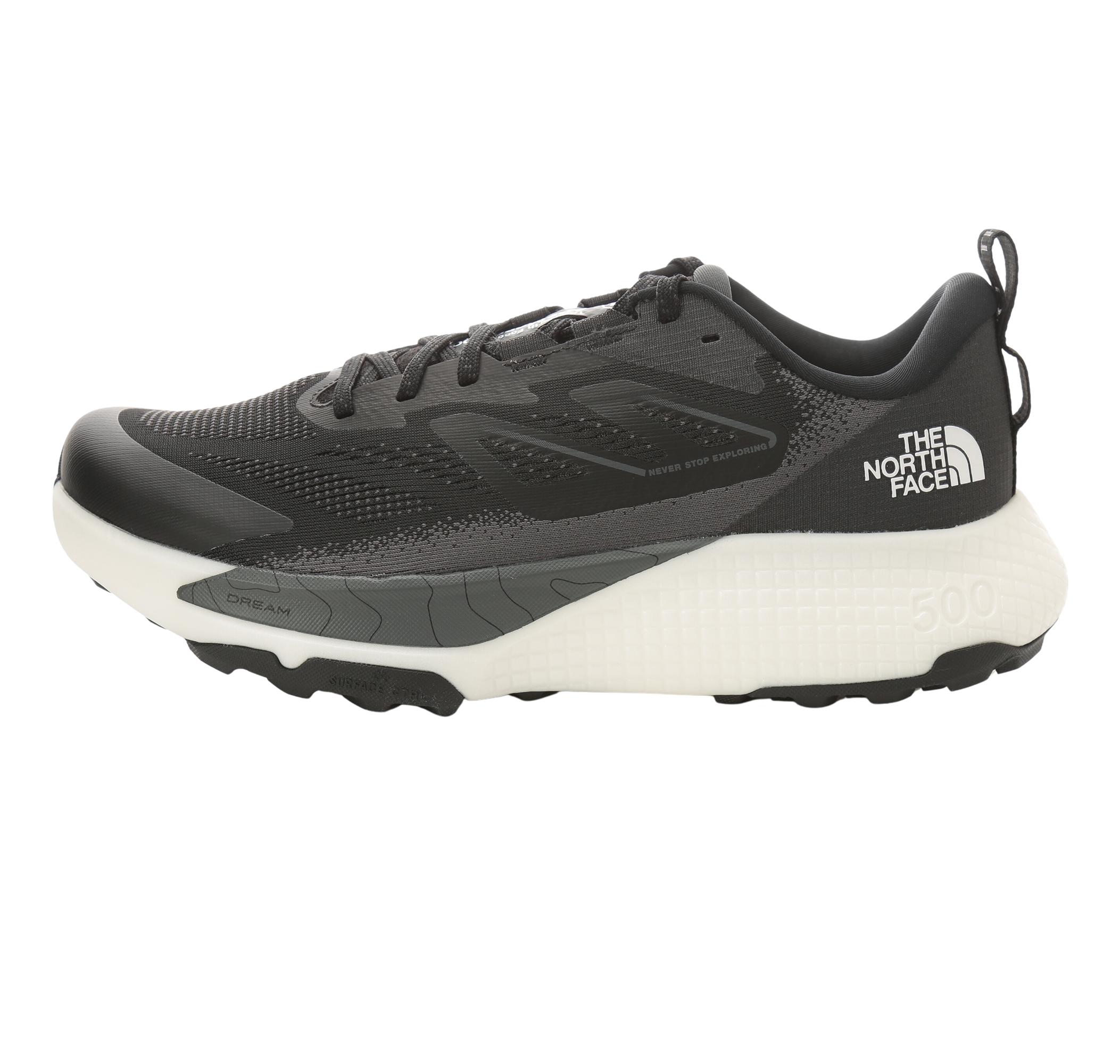 Мужские кроссовки The North Face M Altamesa 500