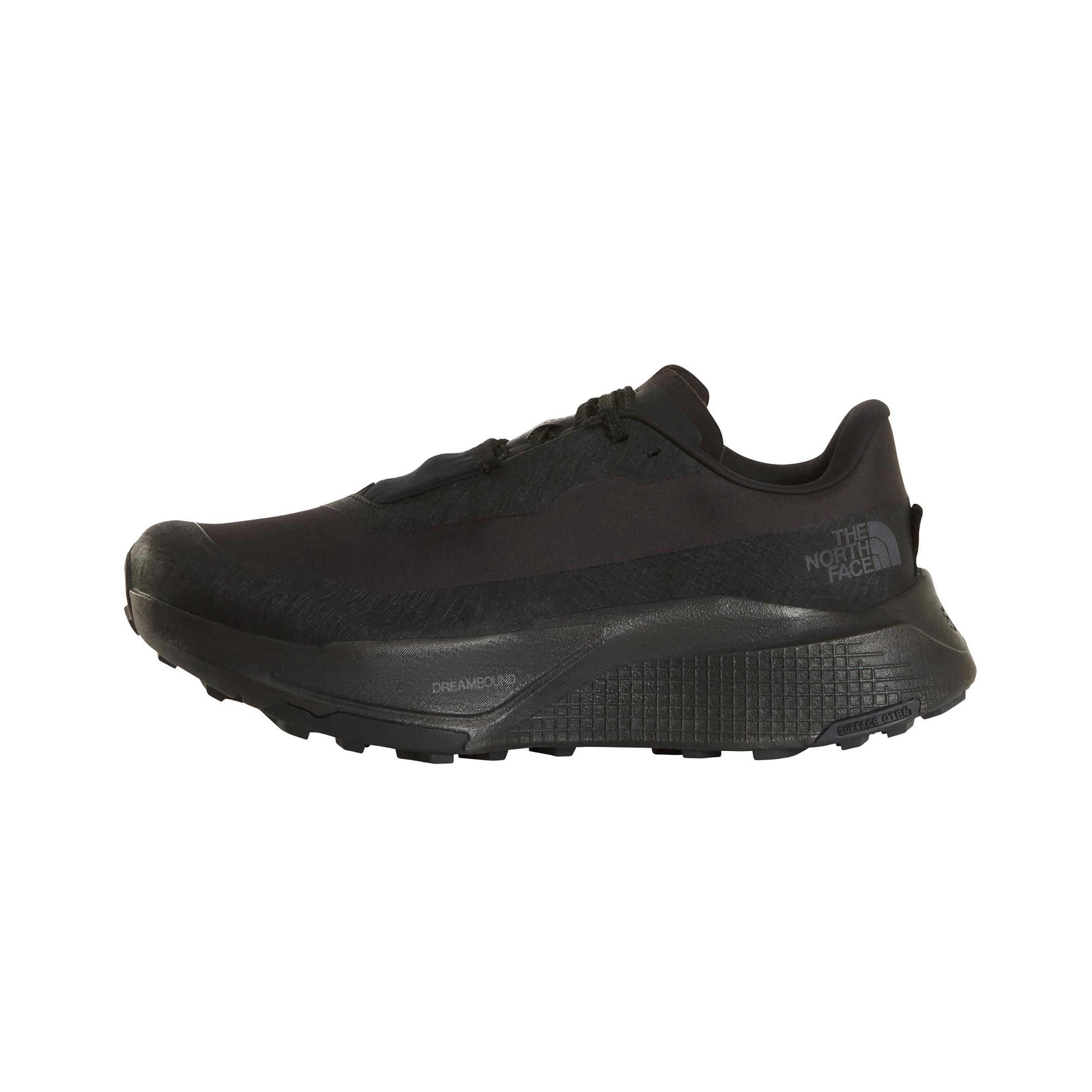 Мужские кроссовки The North Face M Altamesa 500 V2 Gore-Tex