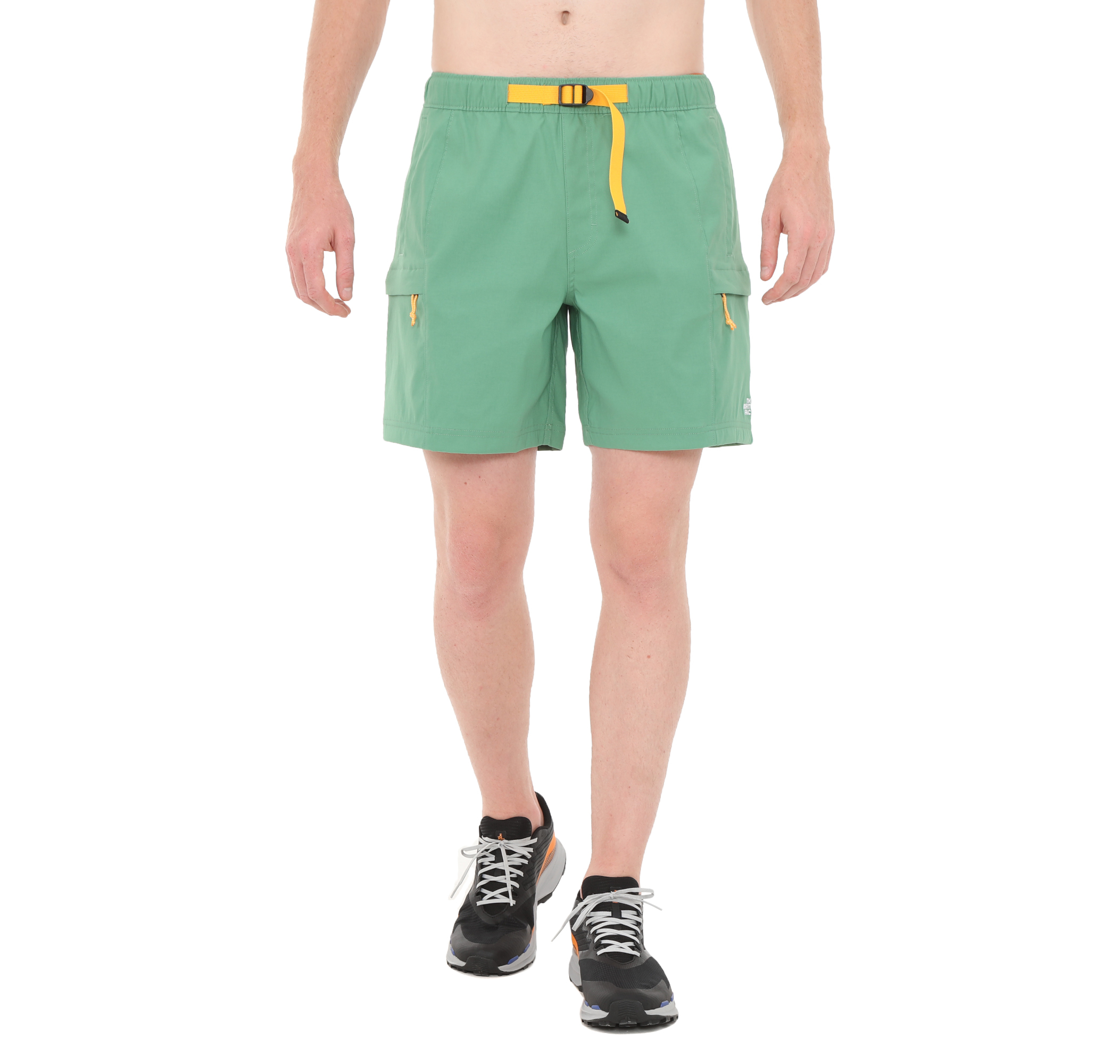 Мужские шорты The North Face M Class V Belted Short Kapri