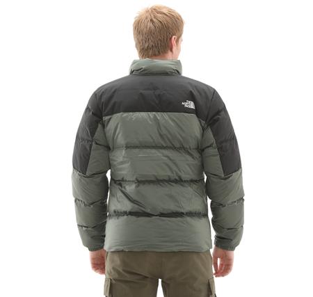 The North Face M Dıablo Down 2.0 Jacket Erkek Ceket Yeşil