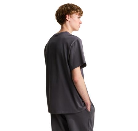 The North Face M Essentıal Center Logo Relaxed Short Sl Erkek