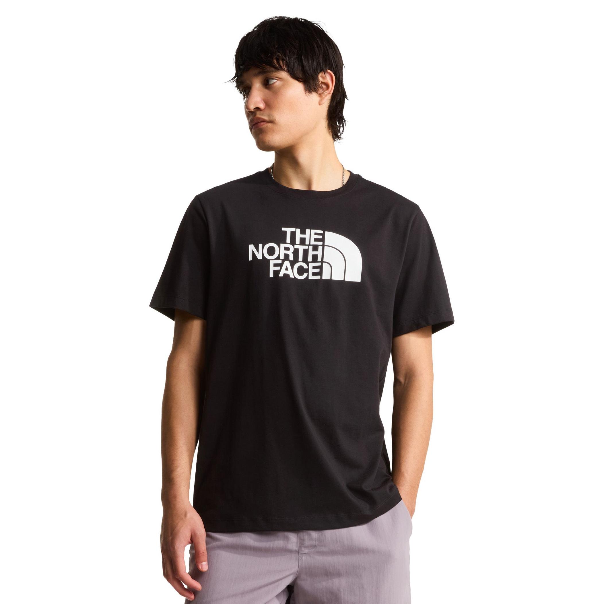Мужская футболка The North Face M Evolution Half Dome Regular Short Slee