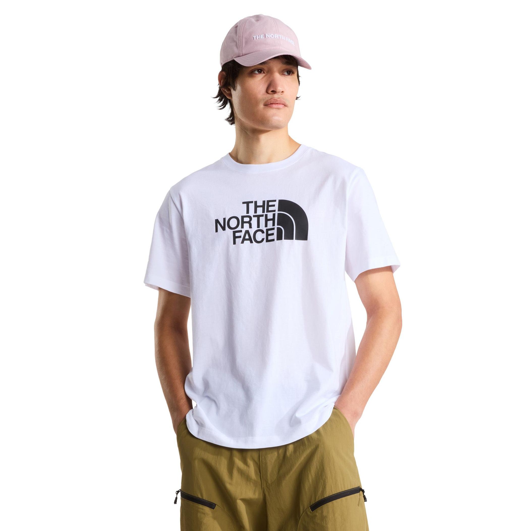 Мужская футболка The North Face M Evolution Half Dome Regular Short Slee