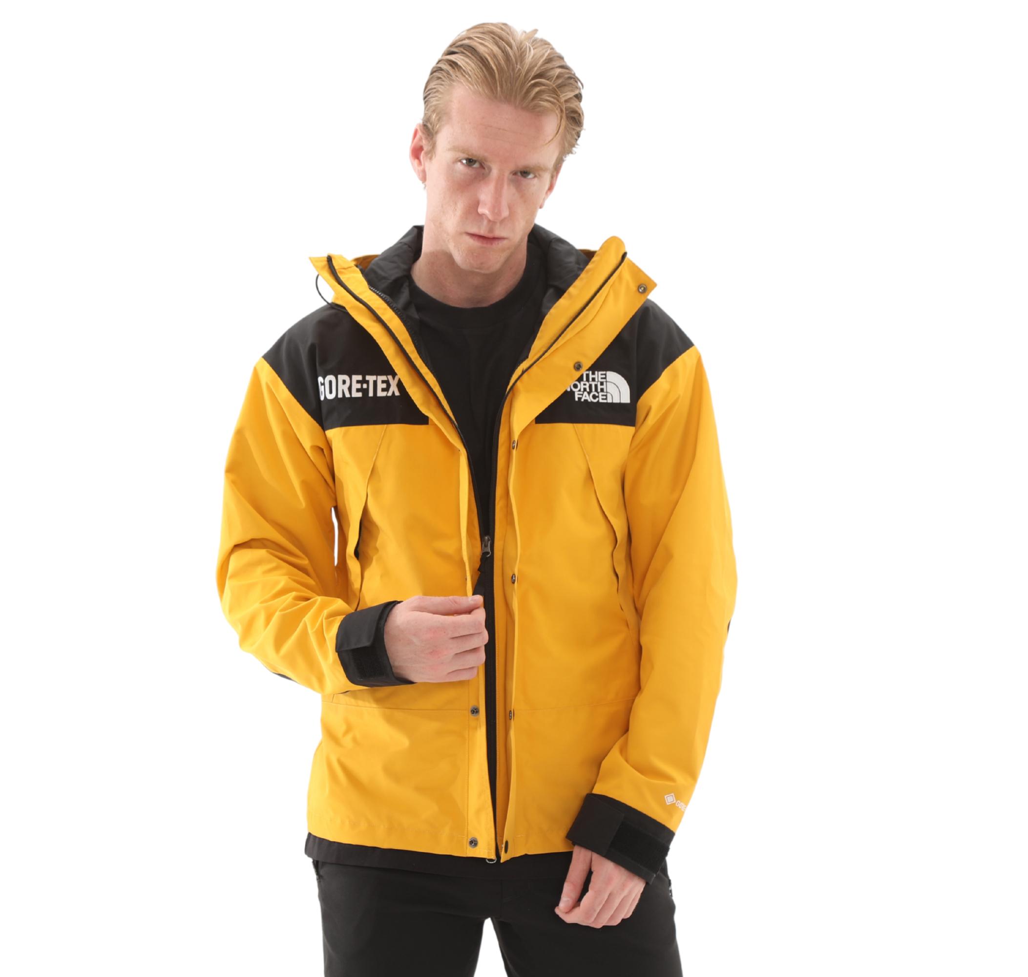 Мужская куртка The North Face M Gtx Mountain Sari