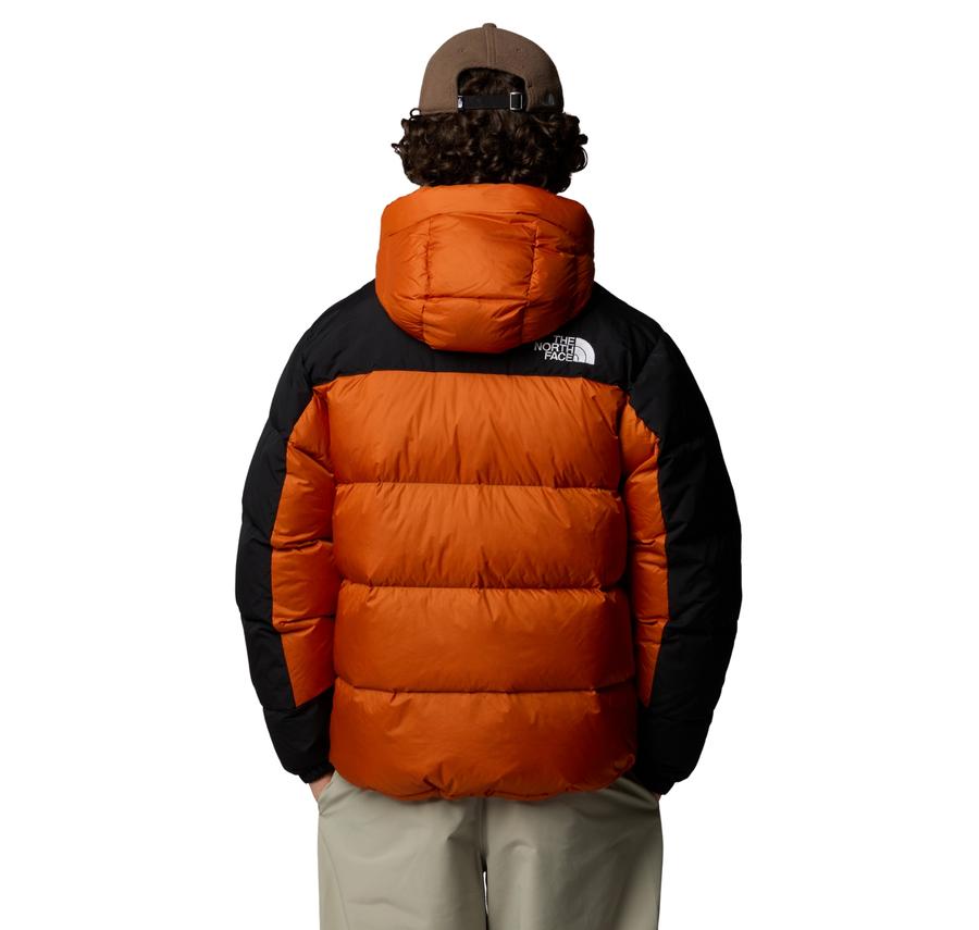 The North Face M Hmlyn Down Parka Erkek The North Face M Hmlyn Down Parka Erkek