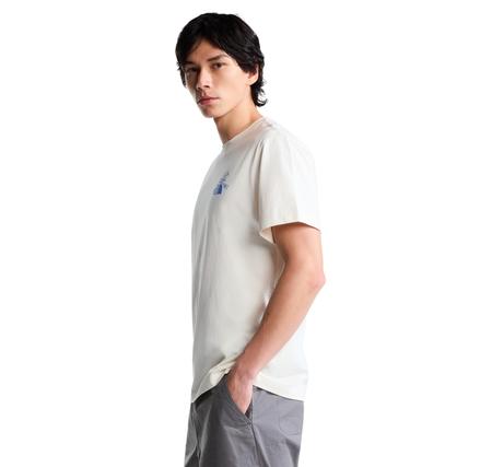The North Face M Mountaın Celebratıon Regular Short Sle Erkek T-Shirt