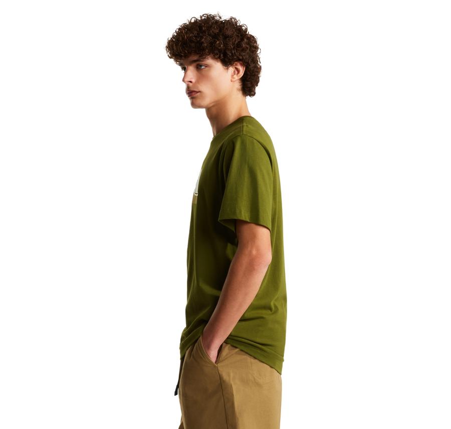 The North Face M Mountaın Lıne Regular Short Sleeve Tee Erkek T-Shirt The North Face M Mountaın Lıne Regular Short Sleeve Tee Erkek T-Shirt