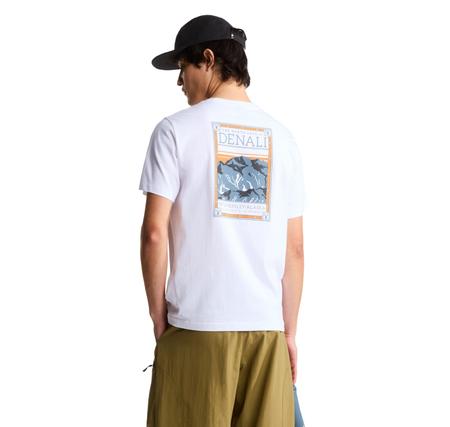 The North Face M North Faces Reg Ss Tee-Graphıc Erkek T-Shirt