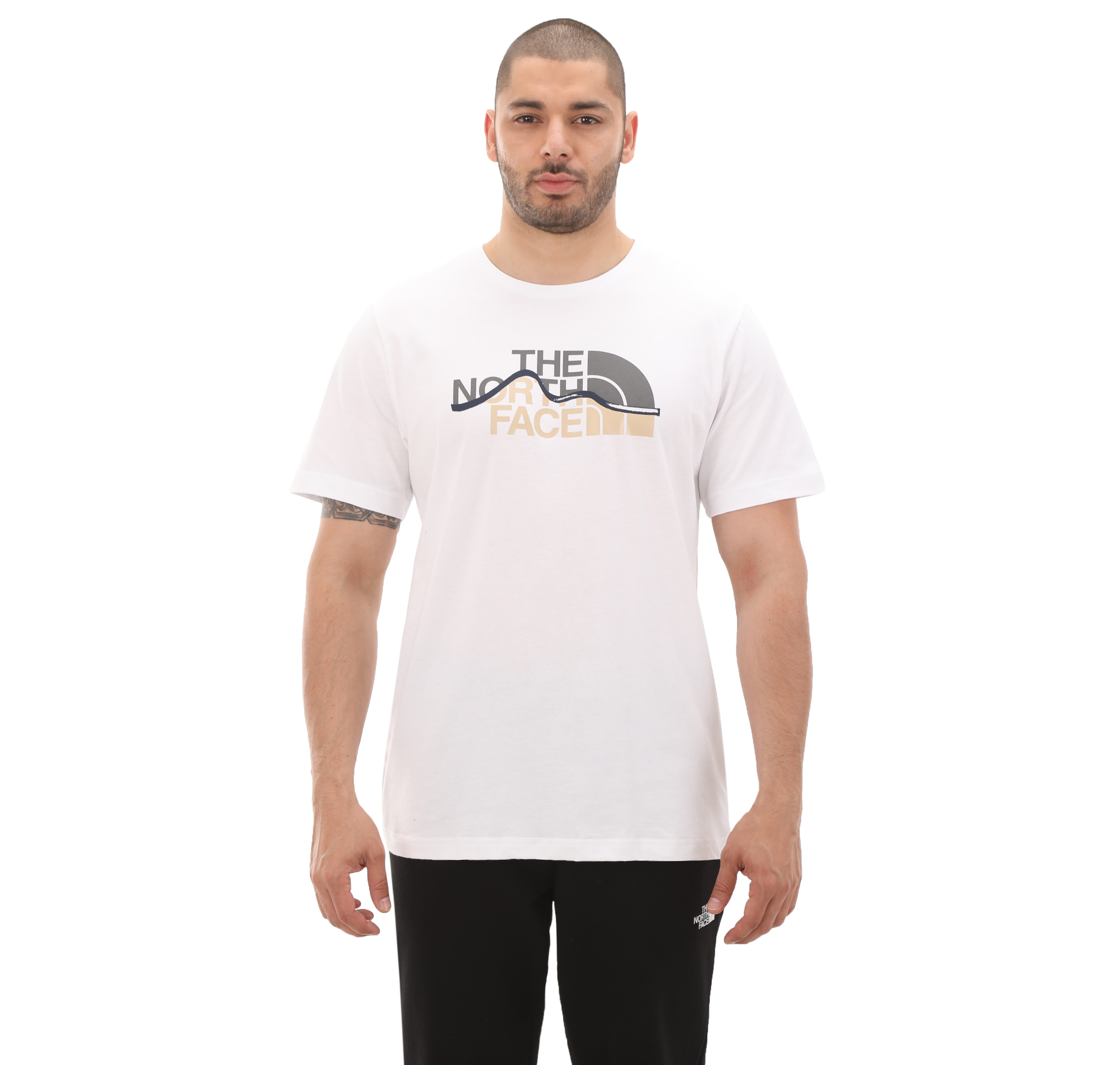 Мужская футболка The North Face M S-S Mountain Line Tee