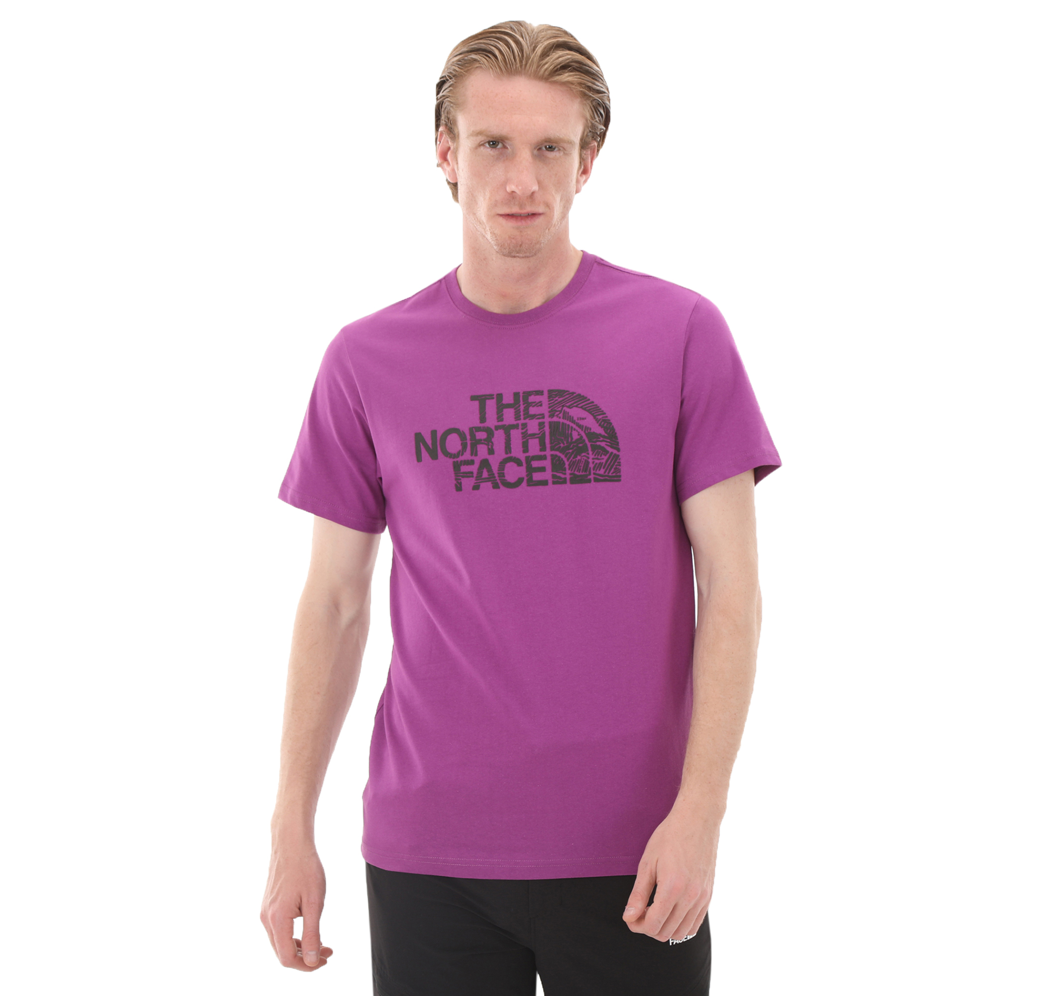 Мужская футболка The North Face M S-S Woodcut Dome Tee-Eu