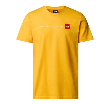 The North Face M Ss Never Stop Explorıng Tee Erkek T-Shirt