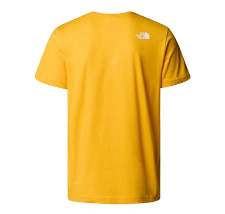 The North Face M Ss Never Stop Explorıng Tee Erkek T-Shirt