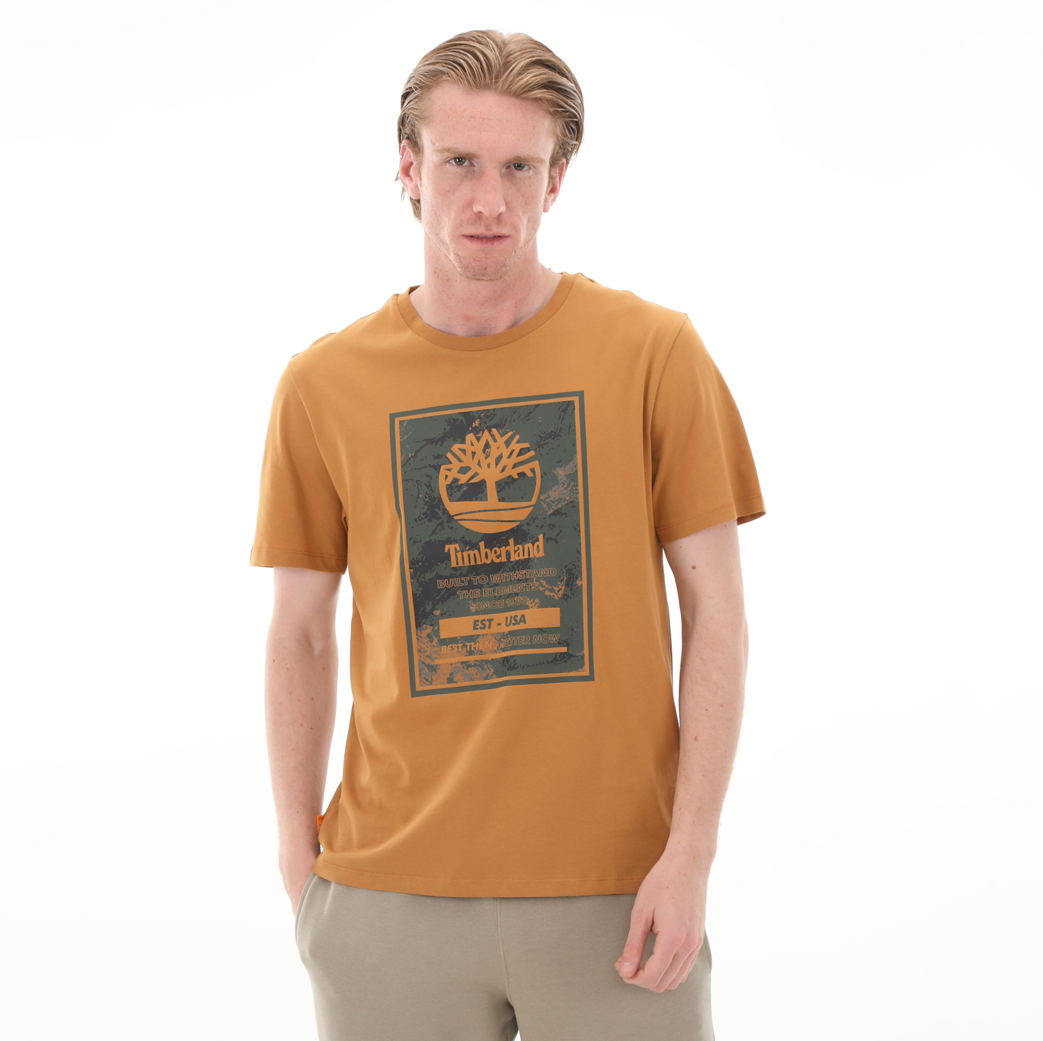 Мужская футболка Timberland Aop Ss Logo Tee