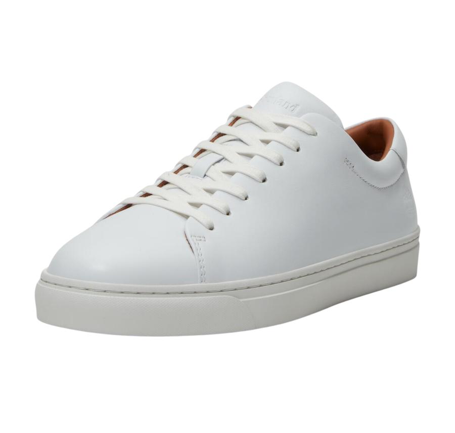 Timberland Dover Essential Low Lace Up Sneaker Erkek Spor Ayakkabı Timberland Dover Essential Low Lace Up Sneaker Erkek Spor Ayakkabı