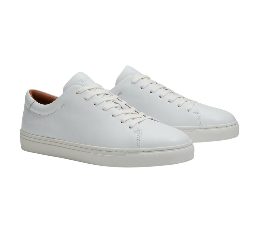 Timberland Dover Essential Low Lace Up Sneaker Erkek Spor Ayakkabı Timberland Dover Essential Low Lace Up Sneaker Erkek Spor Ayakkabı