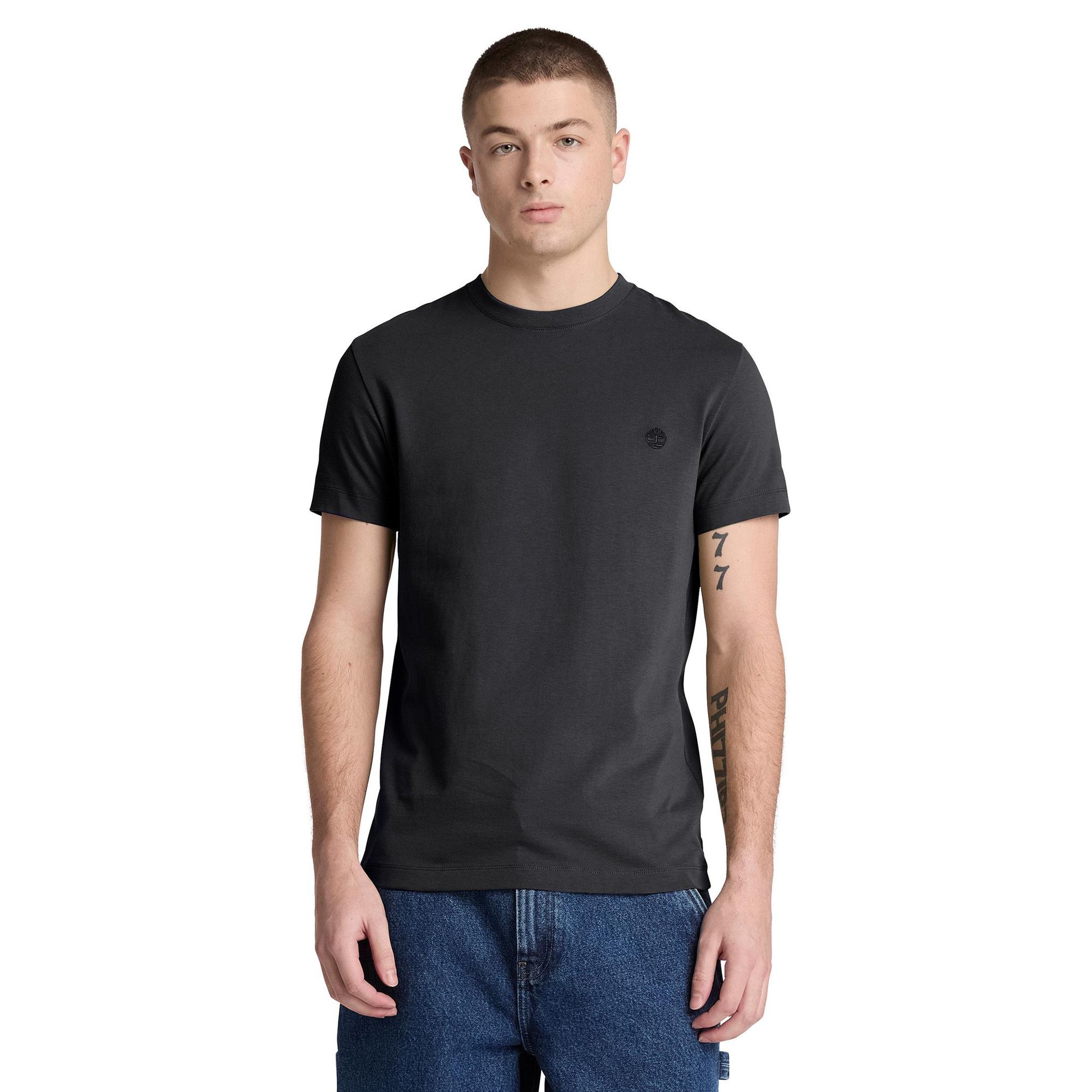 Мужская футболка Timberland Dunstan River Ss Tee (Slim)