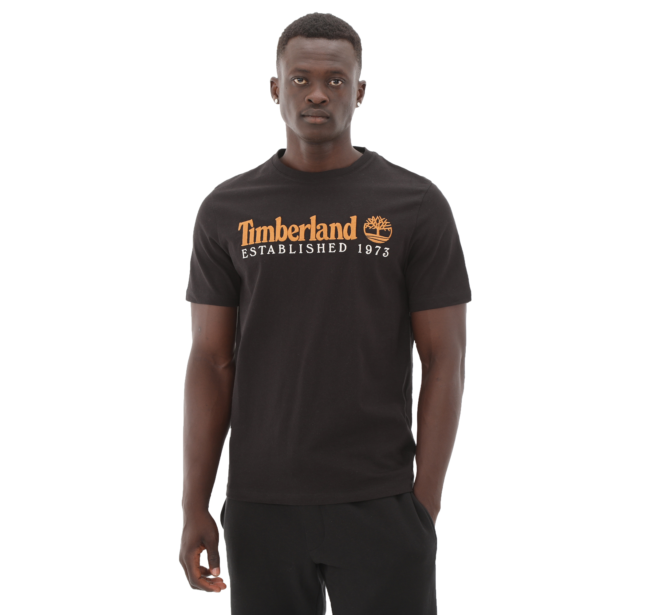 Мужская футболка Timberland Established 1973 Embroidery Logo Tee