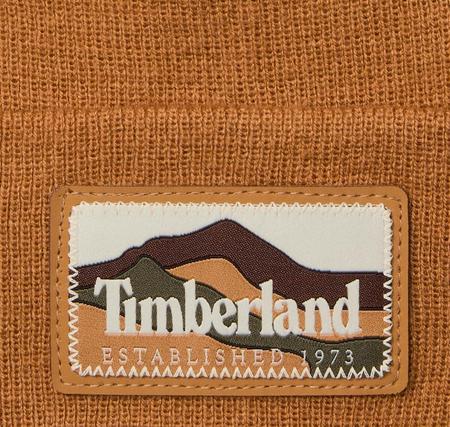 Timberland Mountain Patch Beanie Erkek