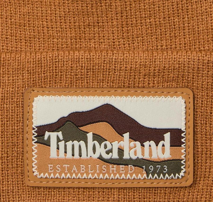 Timberland Mountain Patch Beanie Erkek Kahve Timberland Mountain Patch Beanie Erkek Kahve