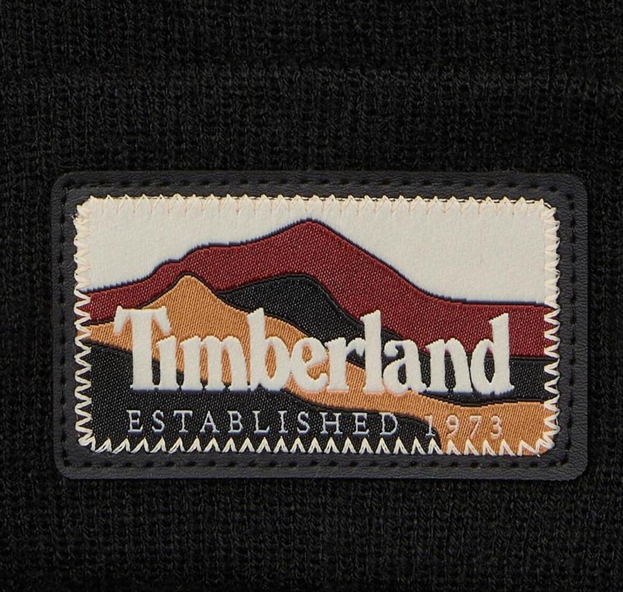 Timberland Mountain Patch Beanie Erkek Siyah Timberland Mountain Patch Beanie Erkek Siyah