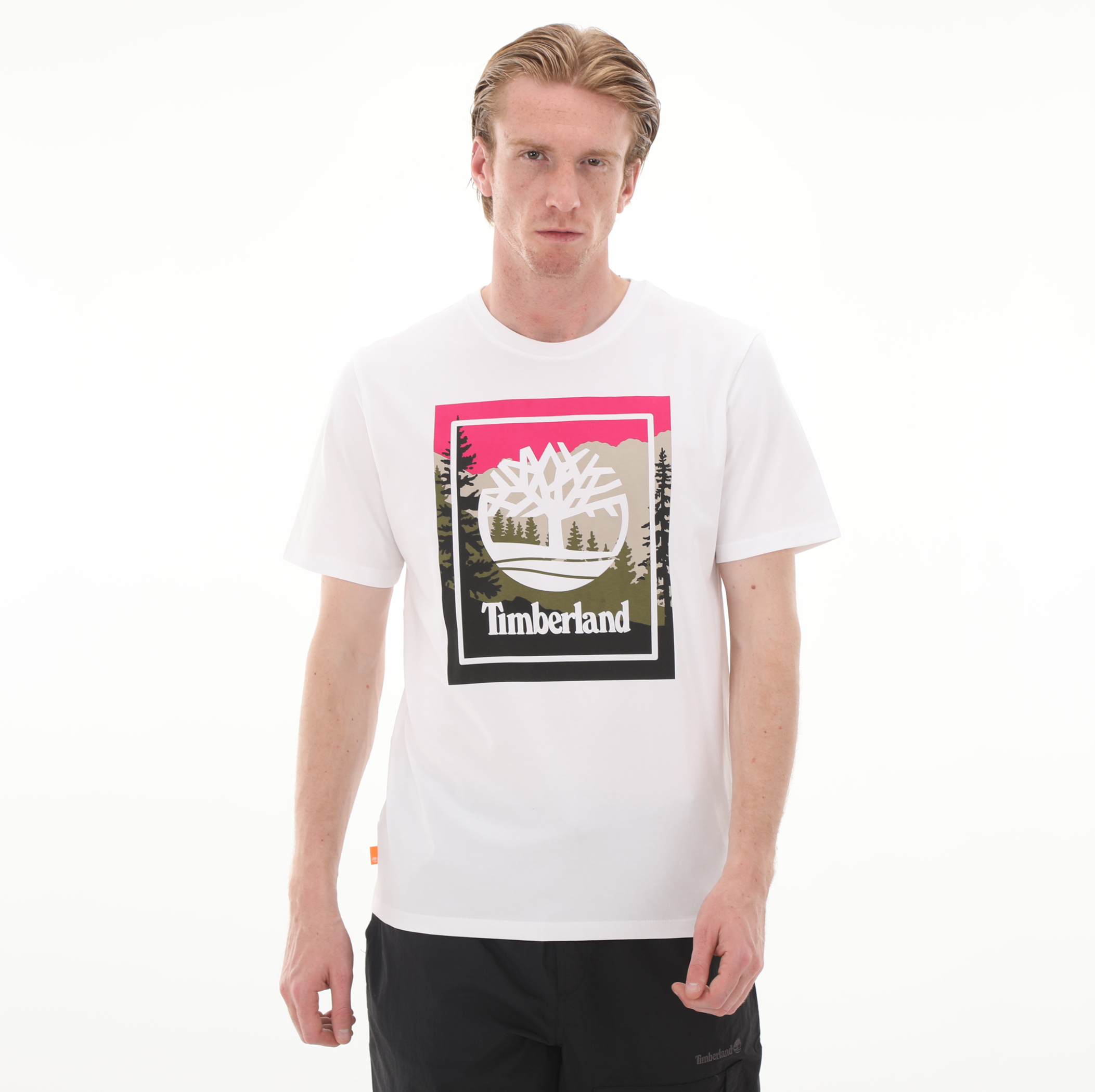 Мужская футболка Timberland Graphic T для походов