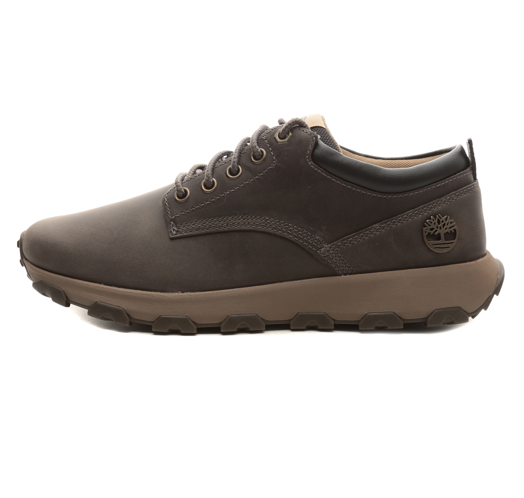 Мужские кроссовки Timberland Winsor Park Low Lace Up Sneaker Antrasit