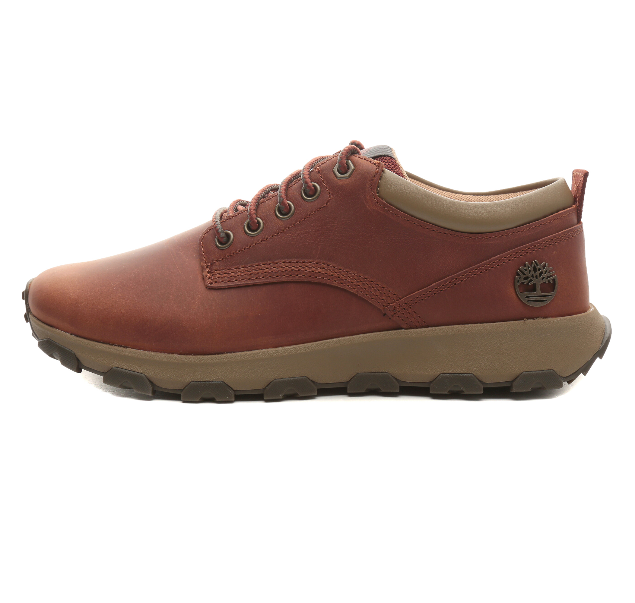 Мужские кроссовки Timberland Winsor Park Low Lace Up Sneaker