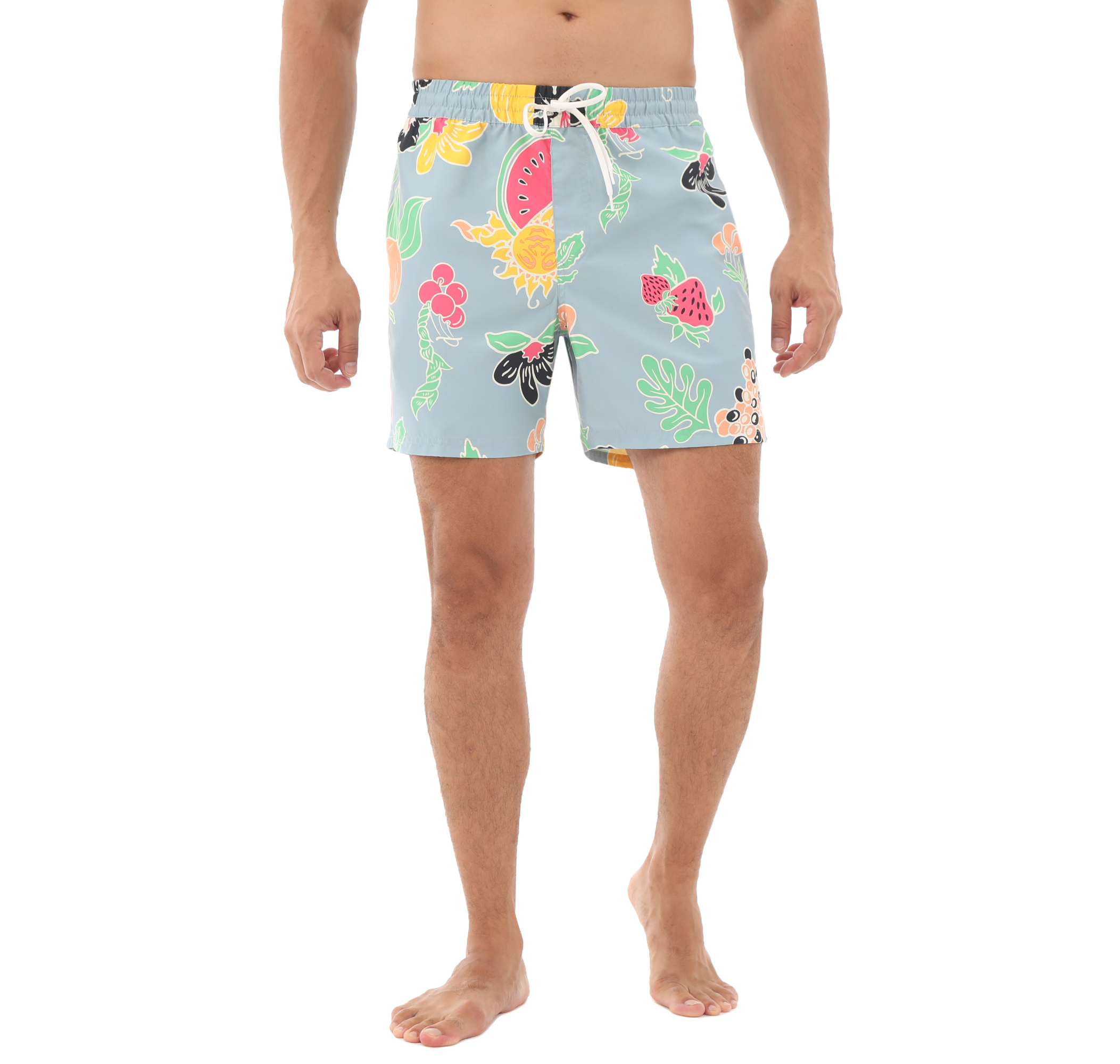 Мужские шорты Vans Primary Print Elastic Boardshort Kapri Açik